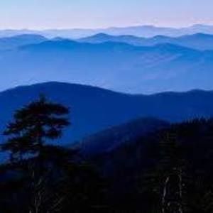 Meet your Posher, Jaden